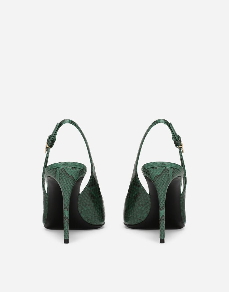 Dolce & Gabbana Zapato destalonado de pitón Verde CG0774A2111