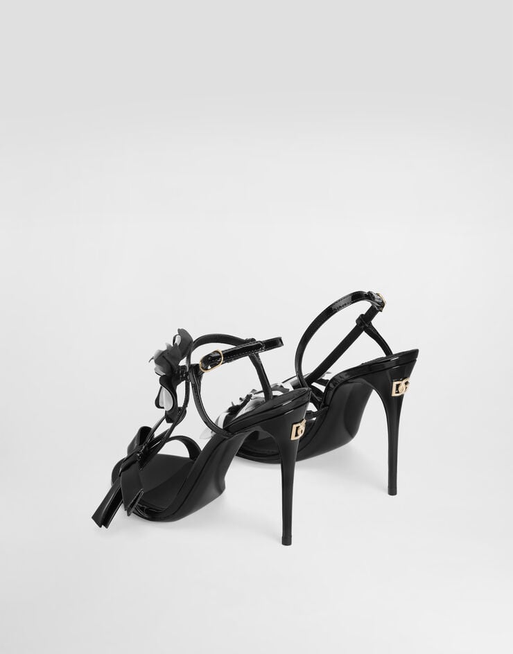 111 Dolce & Gabbana   