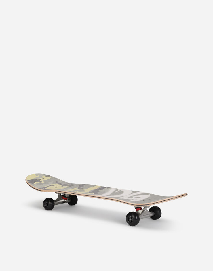Dolce & Gabbana SKATEBOARD Multicolore LCJA77G7BIM