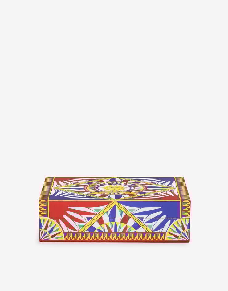 Dolce & Gabbana Large Decorated Plexiglass Box Dolce & Gabbana Large Decorated Plexiglass Box Multicolor TCC201TCAMY