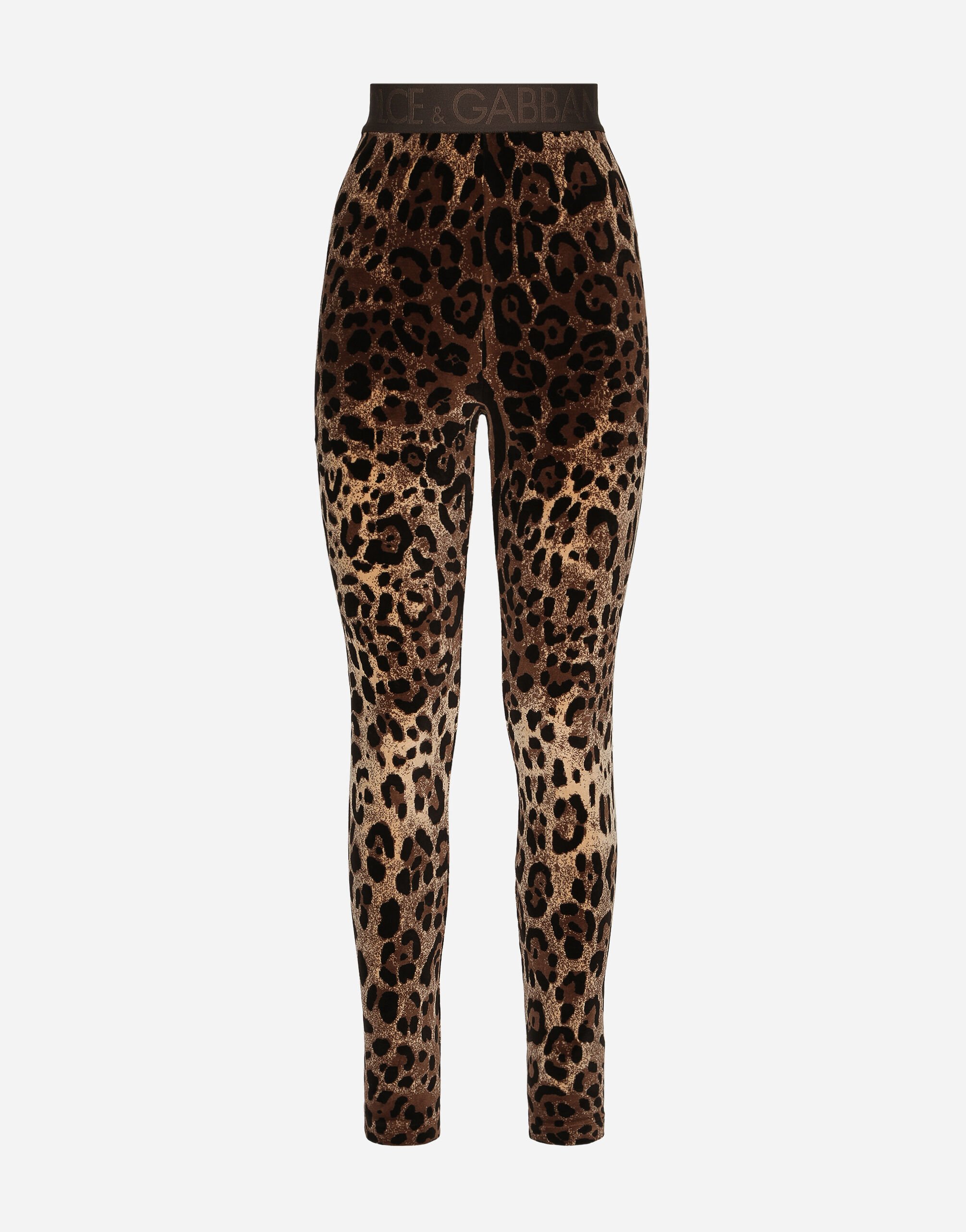 Dolce&Gabbana Leggings aus Chenille-Jacquard Leomuster Animal-Print F9R11THSMW8