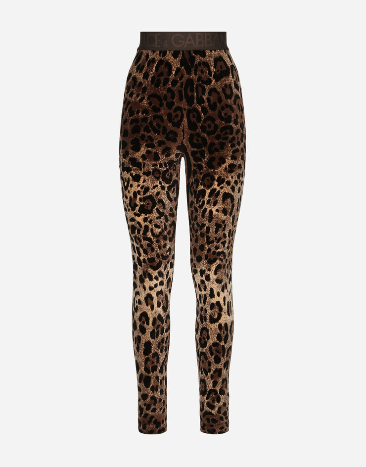 Dolce&Gabbana Chenille leggings with jacquard leopard design Multicolor FTCQKTFJ7D5