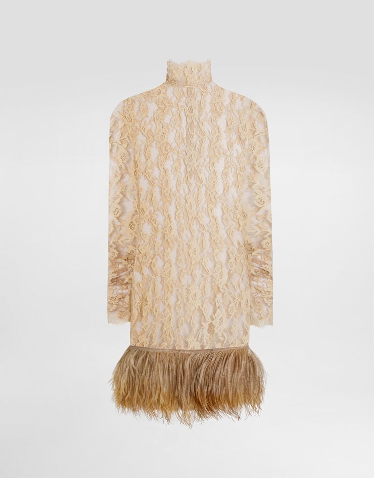 Dolce & Gabbana Floral chantilly lace dress Dolce & Gabbana Floral chantilly lace dress Beige F60HNZILMCM