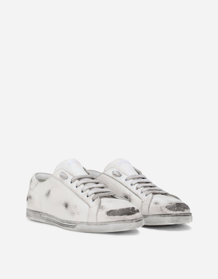 dolce and gabbana sneaker bassa