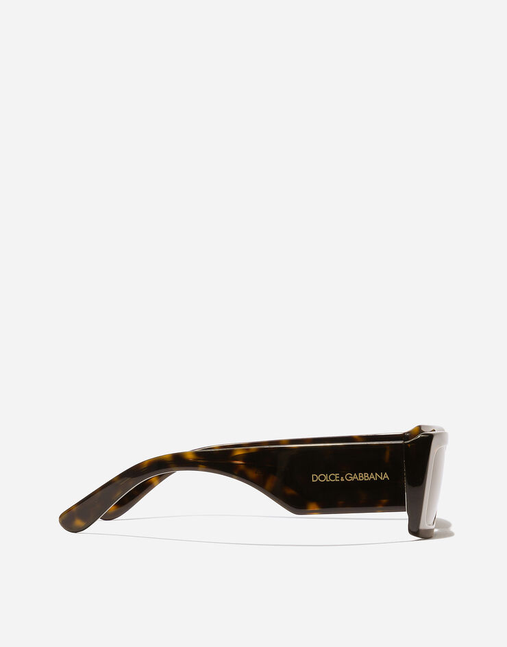 Dolce & Gabbana DNA  sunglasses Brown VG4416VP573