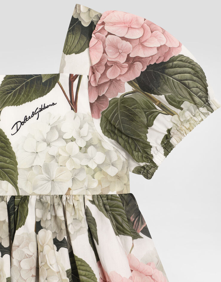 Dolce & Gabbana Hydrangea-print poplin dress Multicolor L24DF4HS5UG