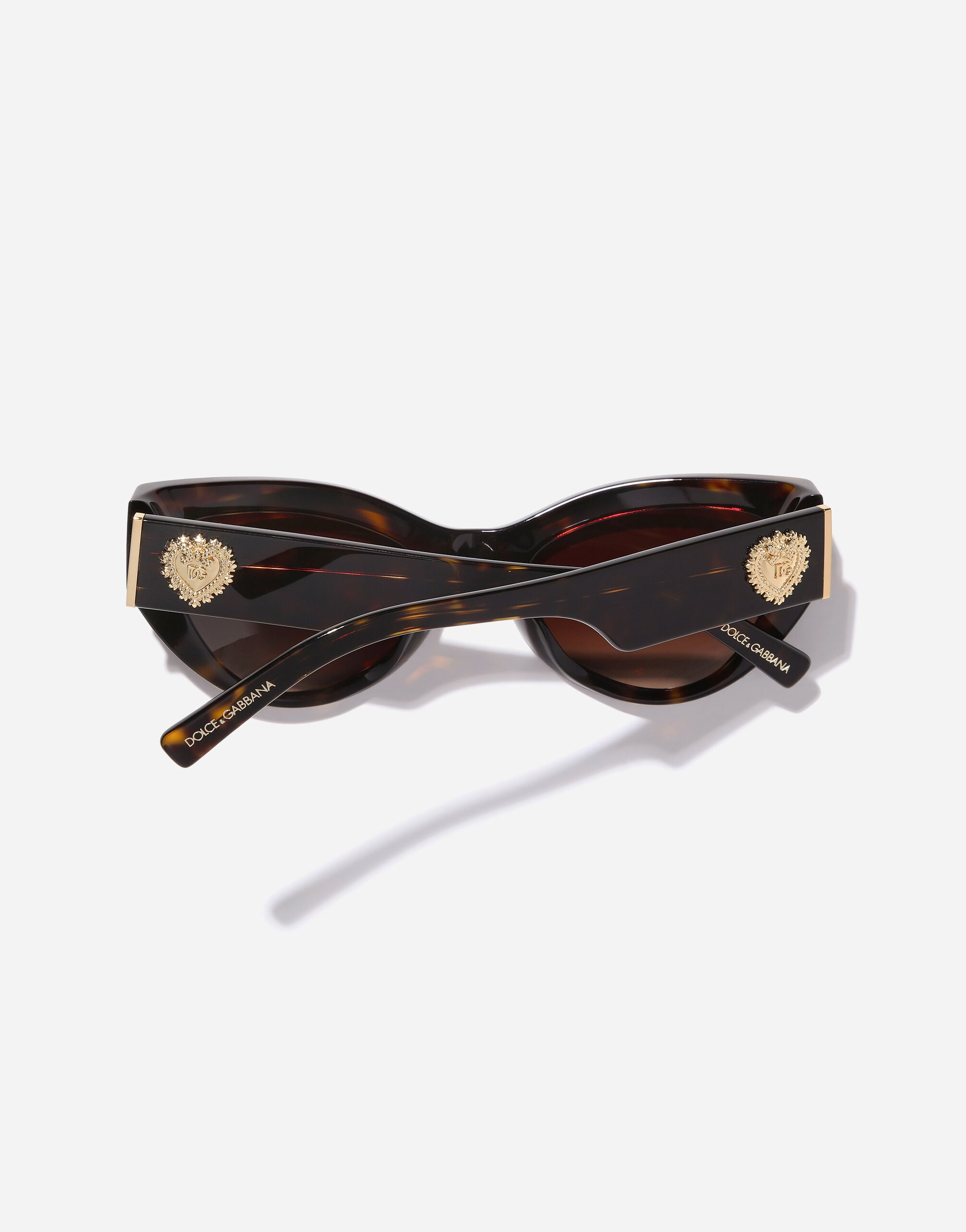 Devotion Sunglasses in Havana for Women | Dolce&Gabbana® US