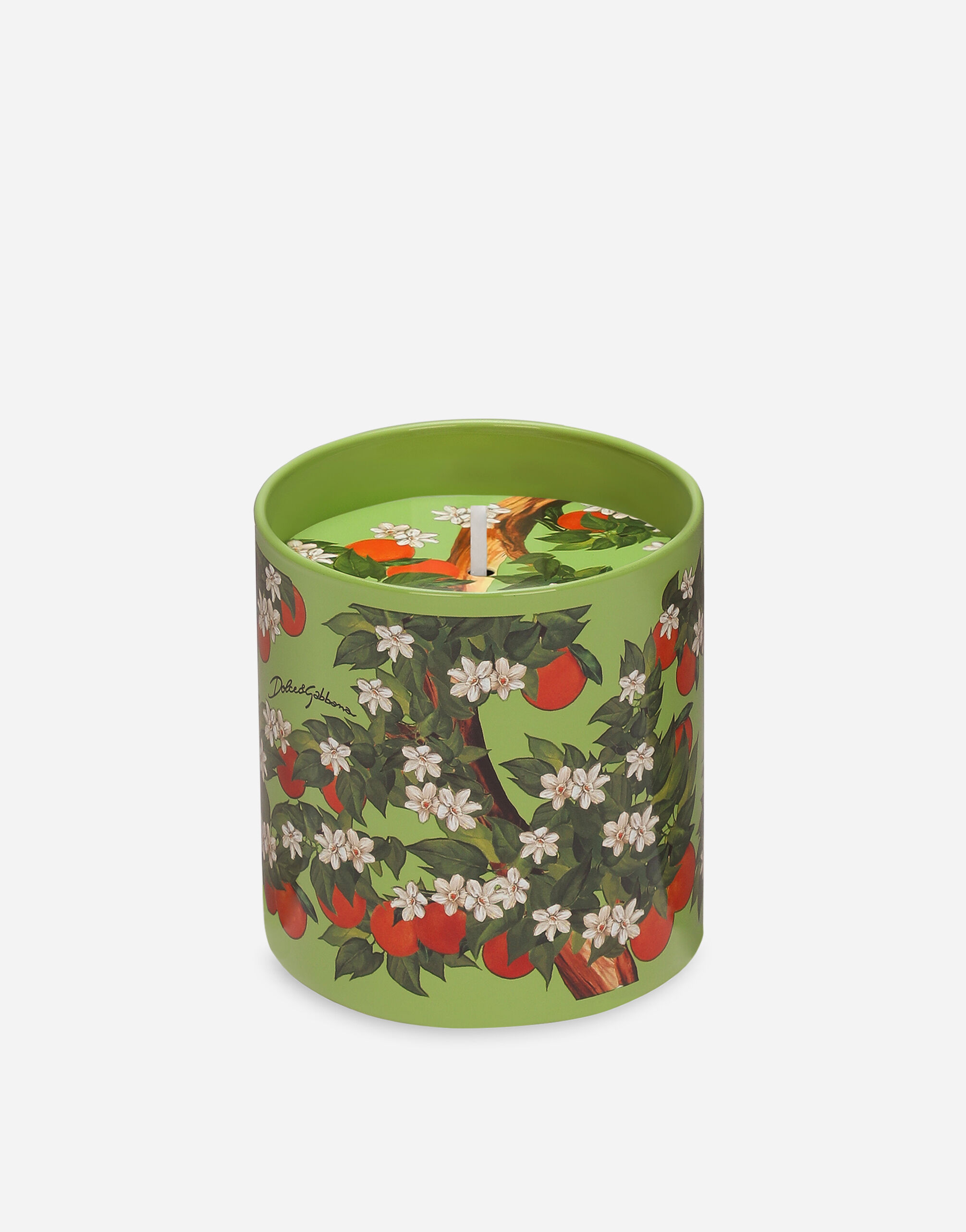 DOLCE & GABBANA アロマキャンドル マルチカラー アロマキャンドル ムスクローズ | Dolce&Gabbana®