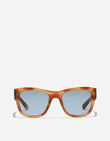 Dolce & Gabbana DNA Sunglasses Havana ginger VG433BVP180