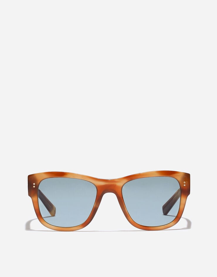 Dolce & Gabbana DNA Sunglasses Havana ginger VG433BVP180