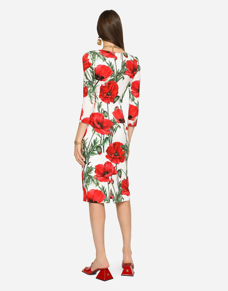Dolce & Gabbana  Multicolor F6AWGTFSA4P