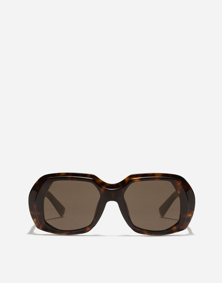 Dolce & Gabbana Dna Sunglasses Havana VG4530VP273