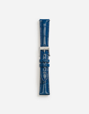 Dolce & Gabbana Alligator strap with buckle and hook in steel Black WWJS1SXR00S