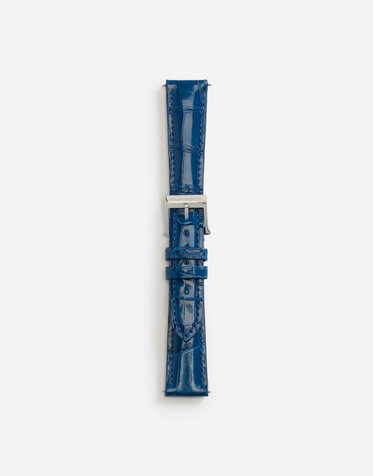 Dolce & Gabbana Alligator strap with buckle and hook in steel BLU NAVY WSFE2LXLAC1