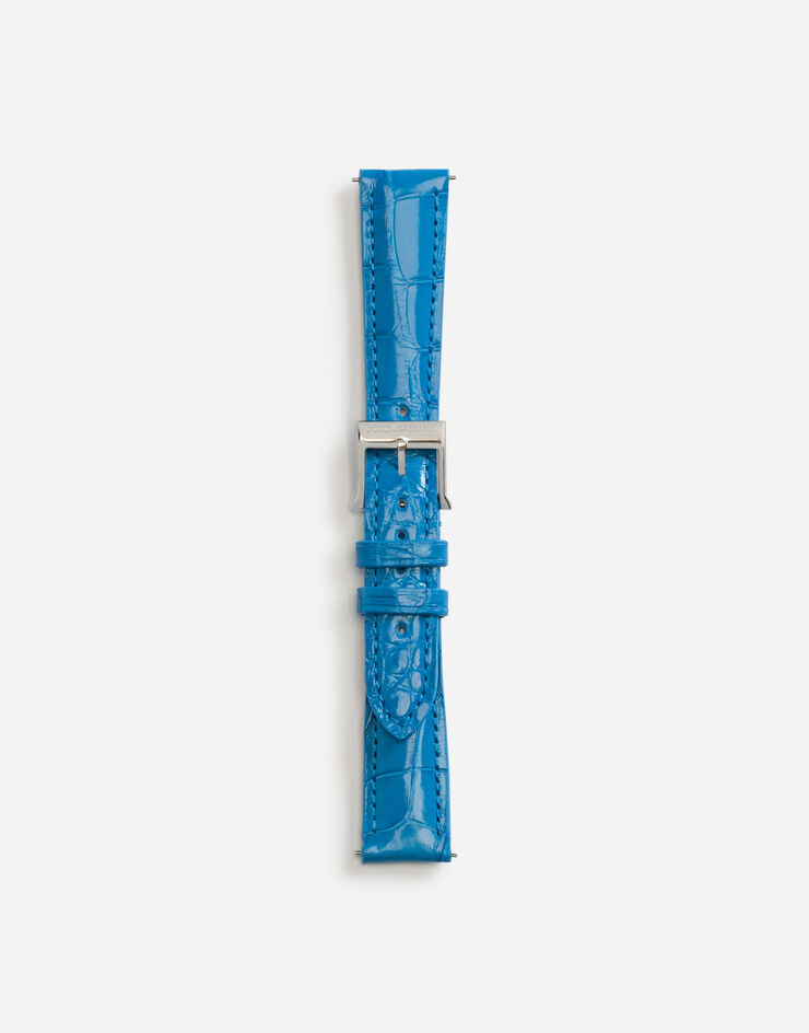 Dolce & Gabbana Alligator strap with buckle and hook in steel BLU WSFE2LXLAC1