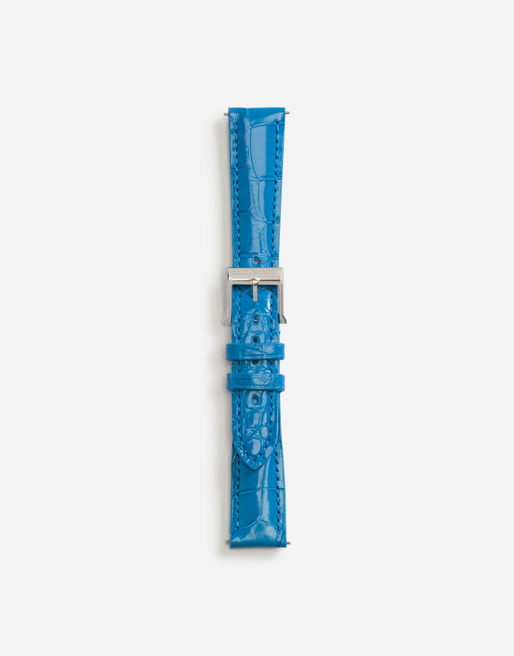 Dolce & Gabbana Alligator strap with buckle and hook in steel BLAU WSFE2LXLAC1