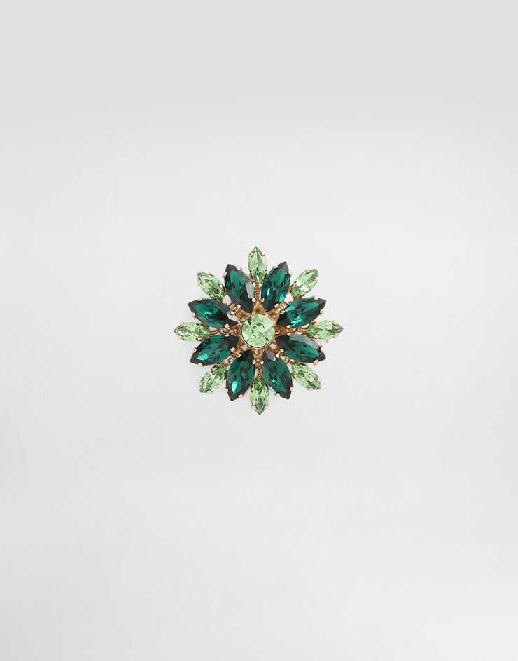 Dolce & Gabbana Brooch with rhinestones Multicolor WPR5S5W1111