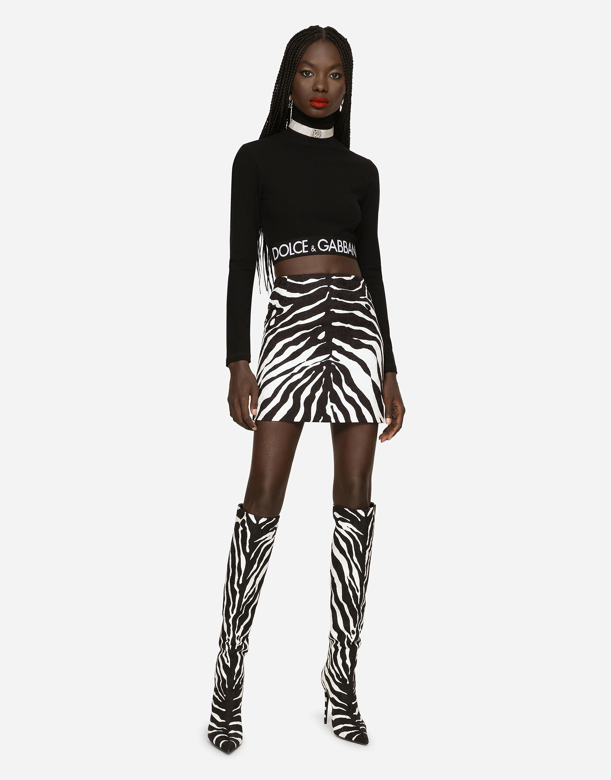 Dolce and hotsell gabbana zebra