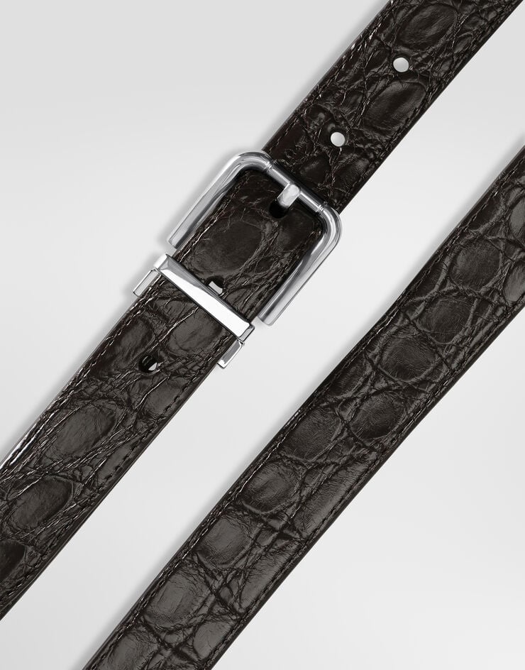 Dolce & Gabbana حزام من جلد كايمان بني BC4337A2088
