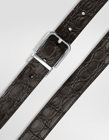 Dolce & Gabbana حزام من جلد كايمان Dolce & Gabbana حزام من جلد كايمان بني BC4337A2088
