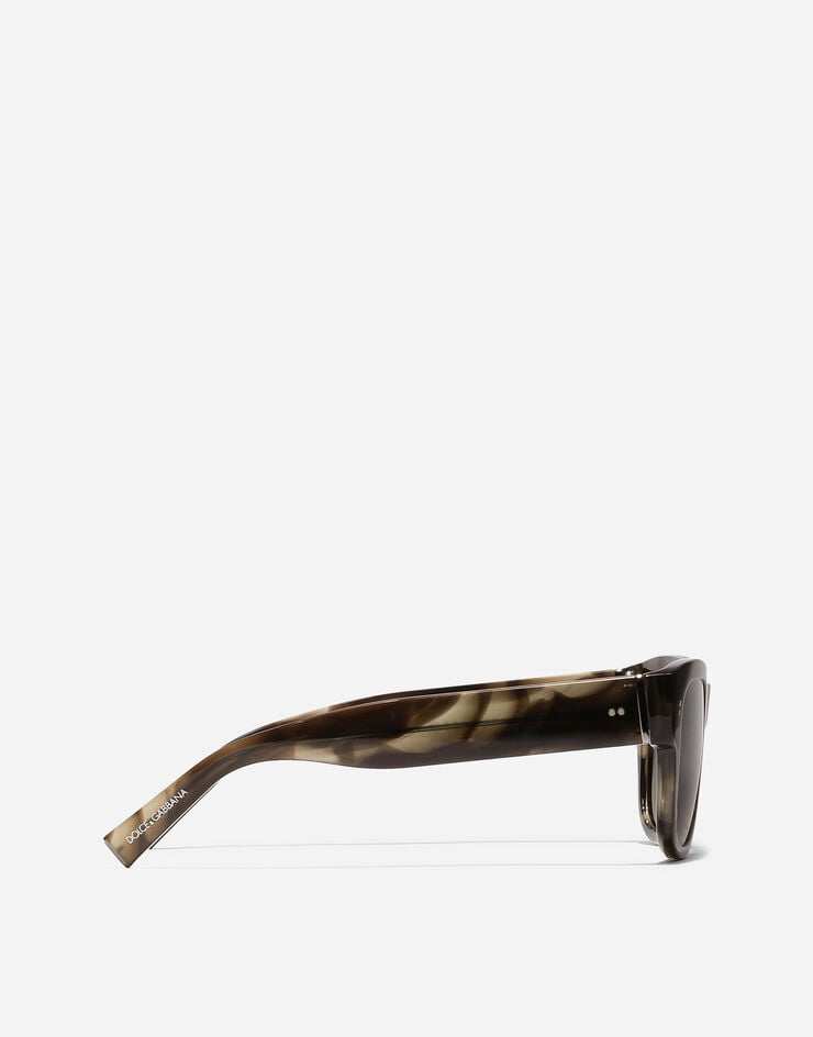 Dolce & Gabbana DNA Sunglasses Green havana VG4338VP003