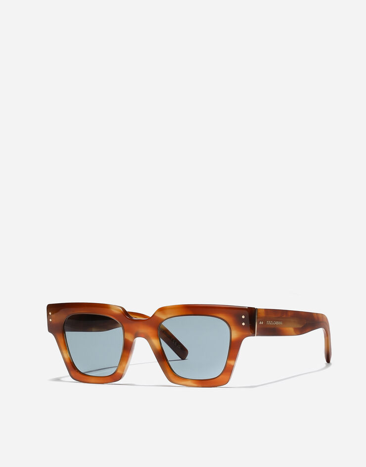 Dolce & Gabbana DNA Sunglasses Havana ginger VG4413VP180