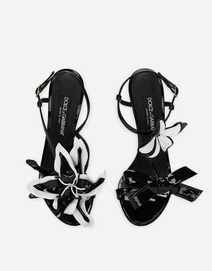Dolce & Gabbana Patent leather sandals Black CR1654AR253