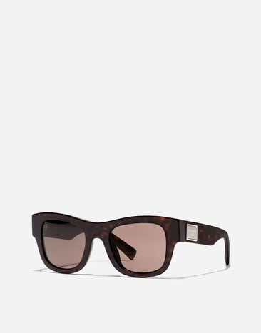 Dolce & Gabbana DNA Essentials sunglasses Havana VG450AVP273
