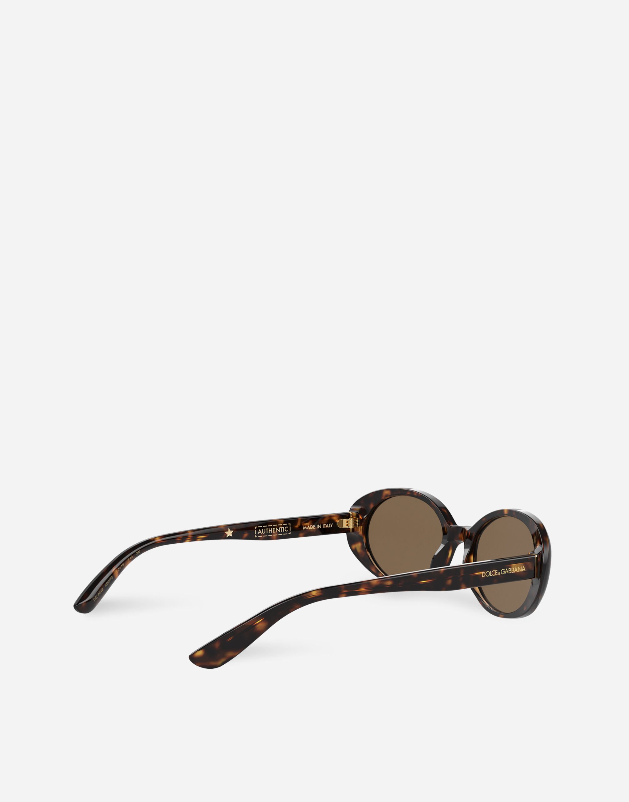 Dolce gabbana havana 2025 glasses