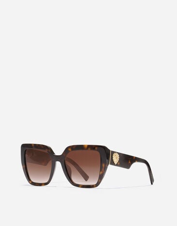 Dolce & Gabbana Devotion Sunglasses Havana VG4538VP213