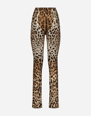Dolce & Gabbana KIM DOLCE&GABBANA Leopard-print marquisette pants Animal Print F26AJTFS2A3