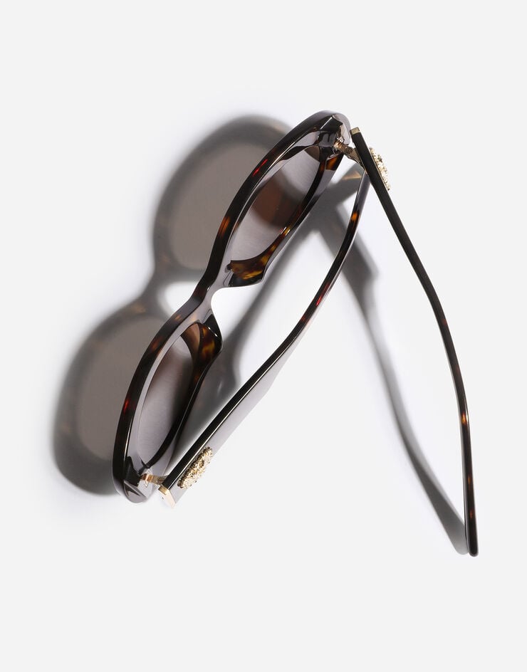 Dolce & Gabbana Devotion Sunglasses Havana VG4537VP273