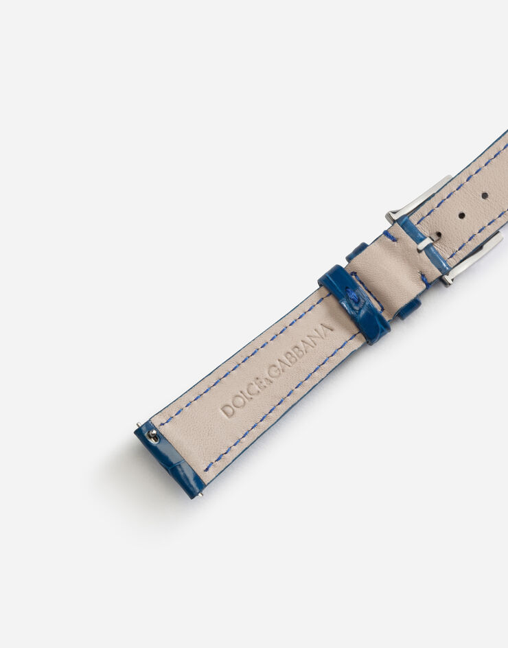 Dolce & Gabbana Alligator strap with buckle and hook in steel Navy Blue WSFE2LXLAC1