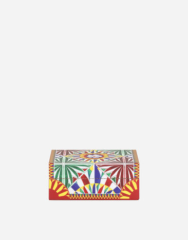 Dolce & Gabbana Small Decorated Plexiglass Box Multicolor TCC202TCAMY