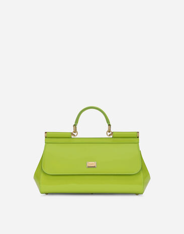 Dolce & Gabbana Elongated Sicily handbag Green BB6711AV893