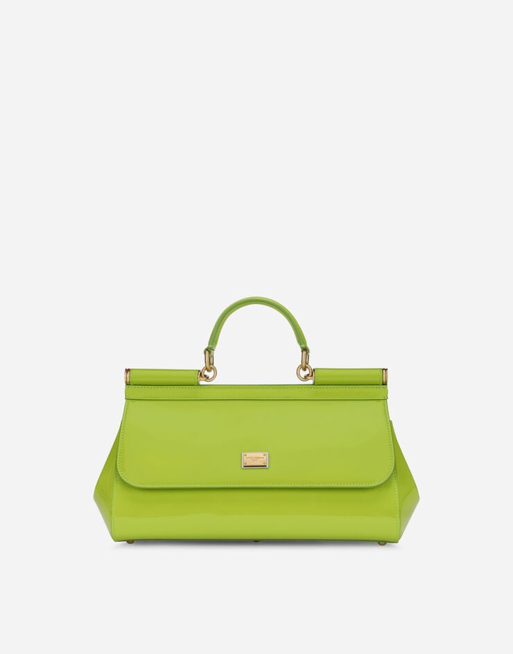 Dolce & Gabbana Elongated Sicily handbag зеленый BB7117A1471