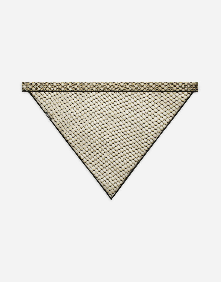 Dolce & Gabbana Voile triangulaire en PVC Blanc FS308AFIM30