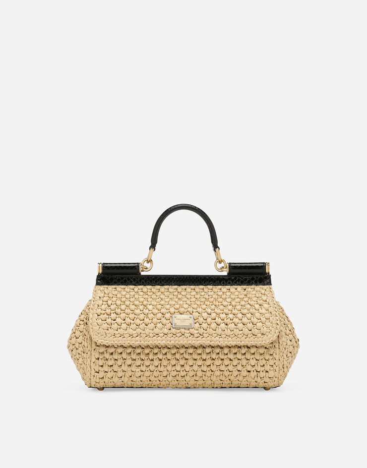 Dolce & Gabbana Elongated Sicily handbag Multicolor BB7652A2Y84