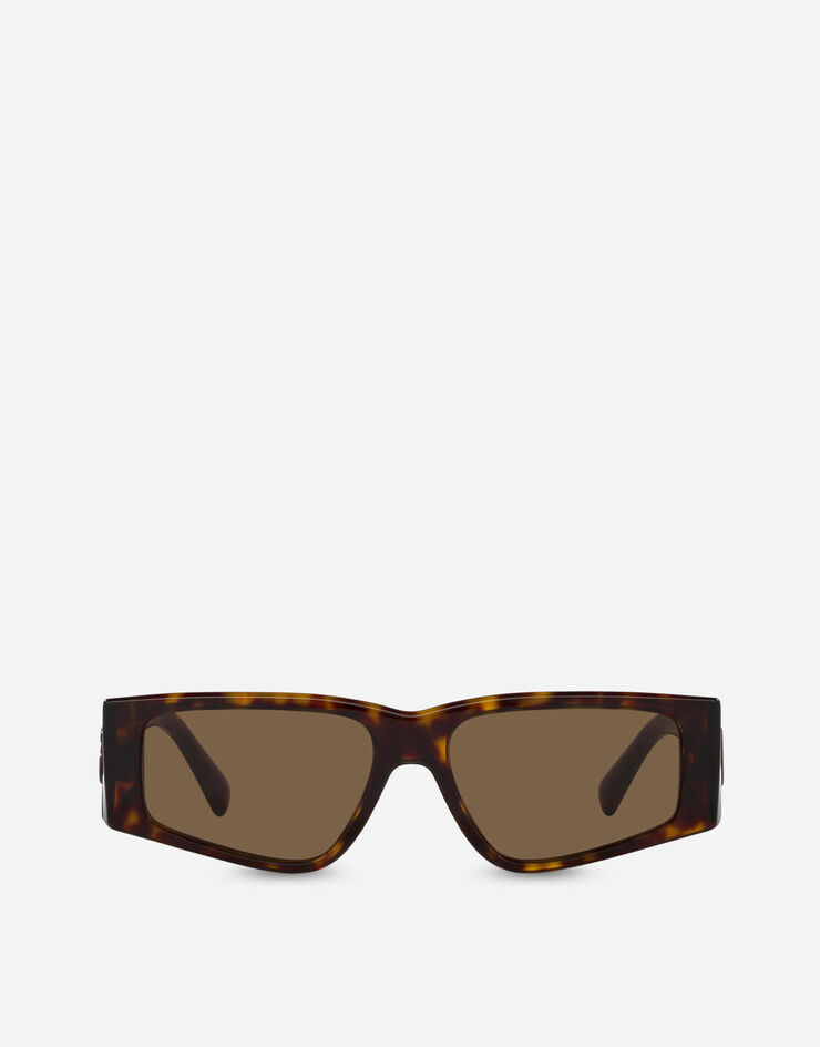 DG Logo sunglasses in Brown | Dolce&Gabbana®