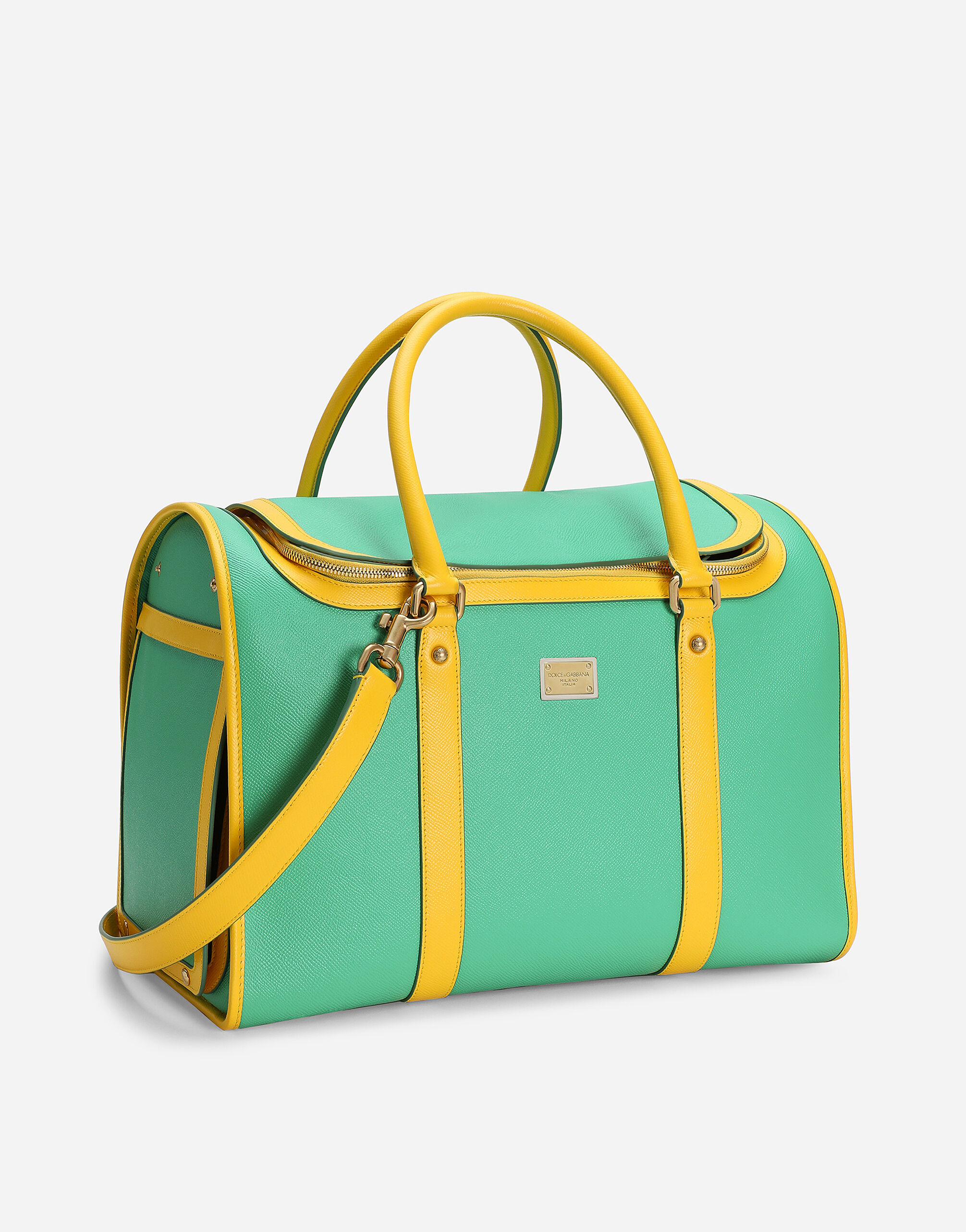 Dolce and gabbana dog bag discount