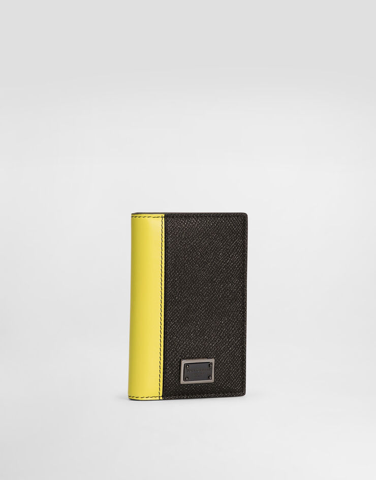 Dolce & Gabbana Dauphine 卡夹 多色 BP3323A6N72