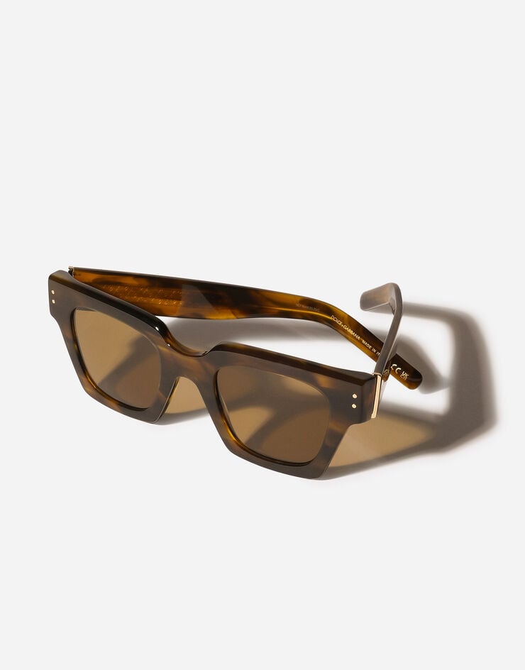 Dolce & Gabbana DNA Sunglasses Vintage havana VG4413VP373