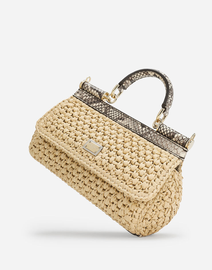 Dolce & Gabbana Sicily 小号手袋 中性的 BB7116A2Y84