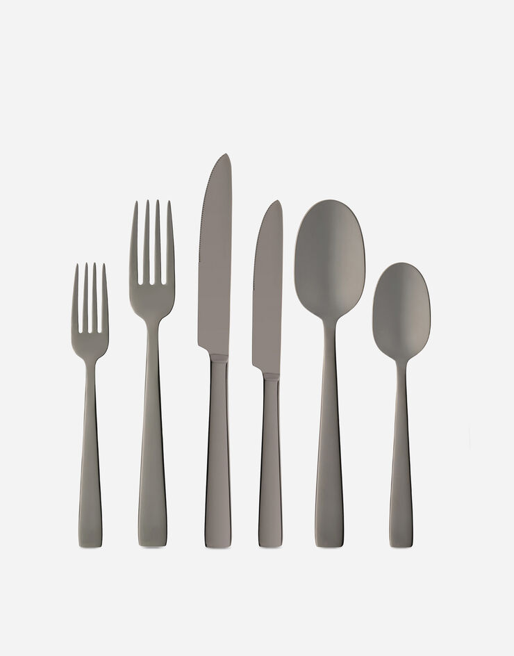 Dolce & Gabbana 6-Piece INOX Flatware Set Steel TCPS01TCA53