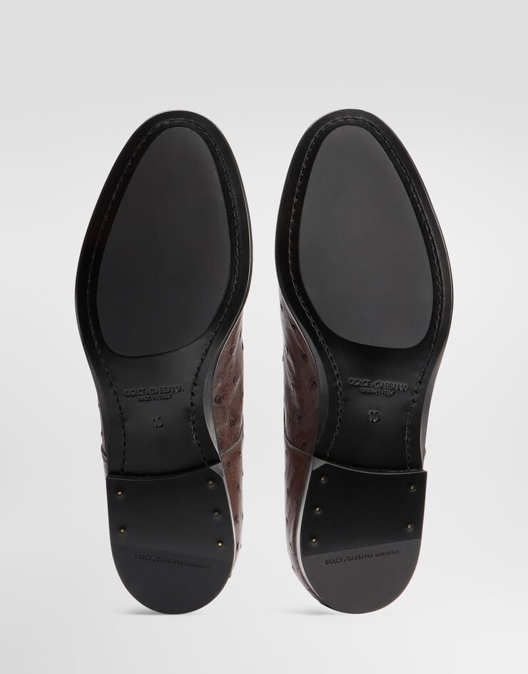 Dolce & Gabbana Ostrich leather derby shoes Dolce & Gabbana Ostrich leather derby shoes Brown A10939A8M90