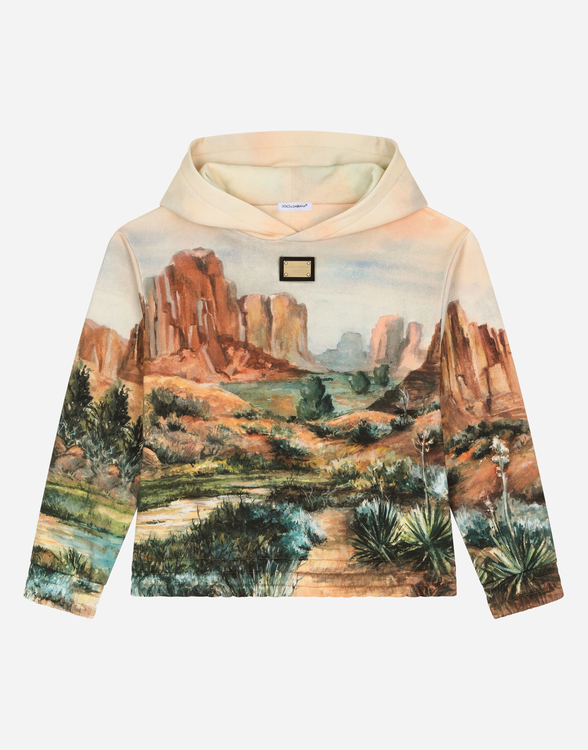 Dolce & Gabbana Hoodie with canyon print and logo tag Brown L4JWFQG7L1Z