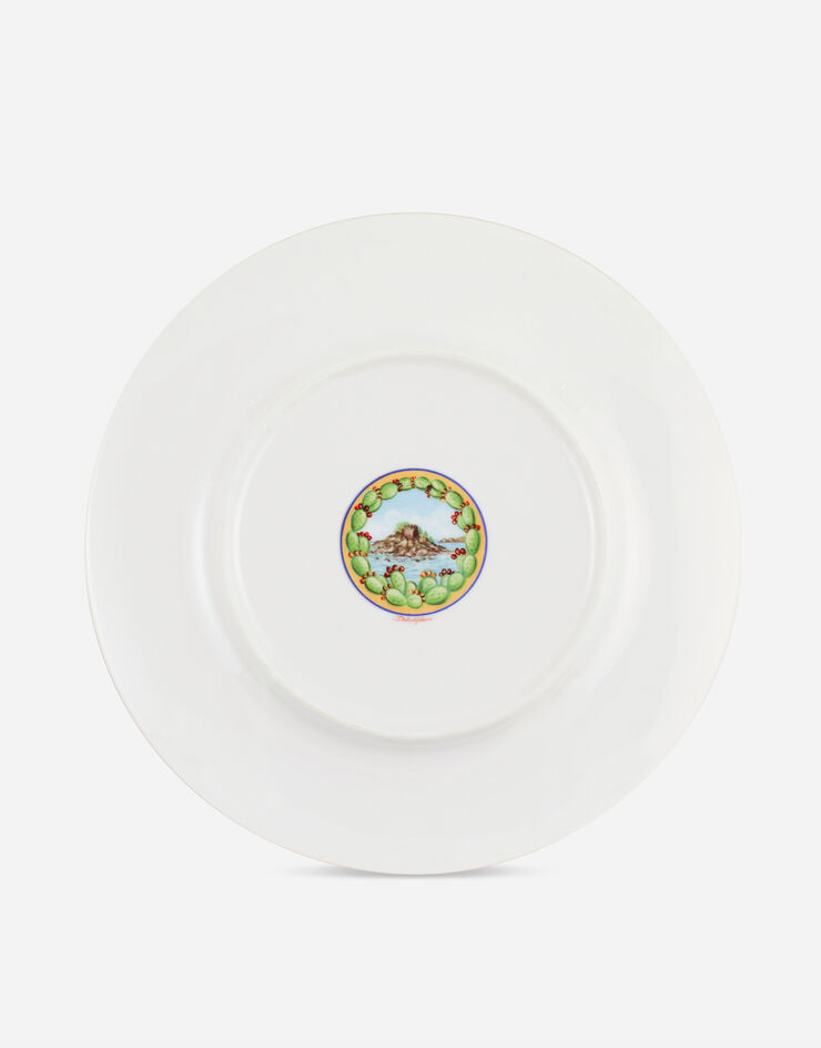 Dolce & Gabbana Charger Plate in Fine Porcelain Multicolor TC0005TCA04