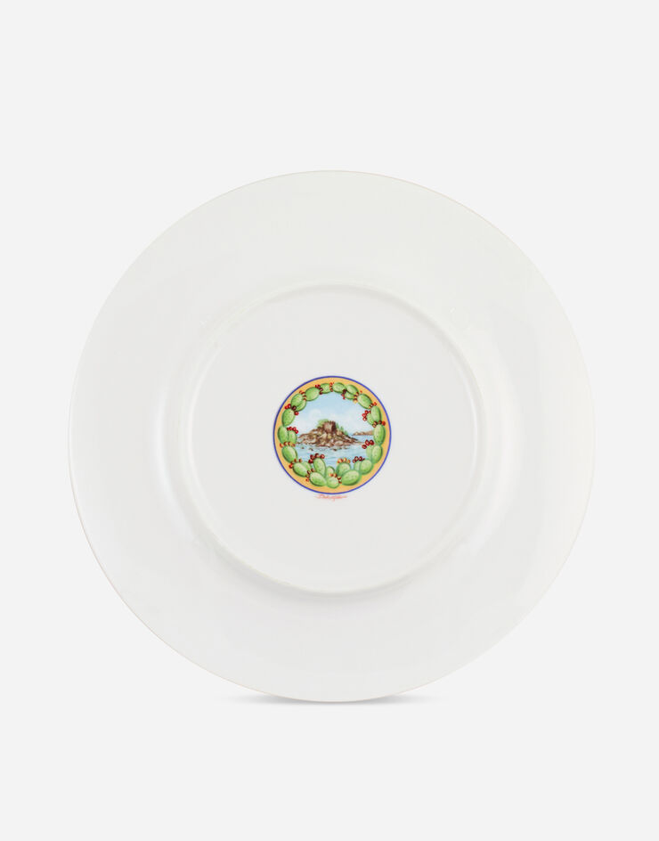 Dolce & Gabbana Charger Plate in Fine Porcelain Multicolor TC0005TCA04