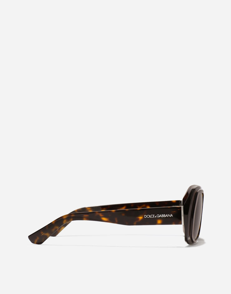 Dolce & Gabbana Dna Sunglasses Havana VG4530VP273