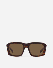 Dolce & Gabbana Sartoriale Lusso Sunglasses Brown VG446DVP271